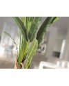 PALMA VIAJERO-PLANTA ARTIFIC H240